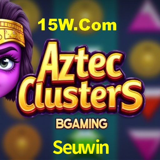 Interface Premium Seuwin